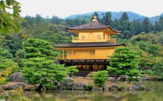金閣寺